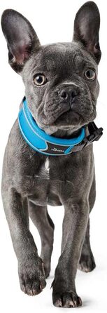 Нашийник для собак HUNTER DIVO, нейлон, розмір S, світло-блакитний/сіро-бірюзовий