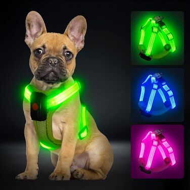 Світловідбиваючий нашийник для собак PZRLit з LED підсвічуванням, зарядний, для маленьких собак, XS, для безпечних прогулянок вночі (зелений)