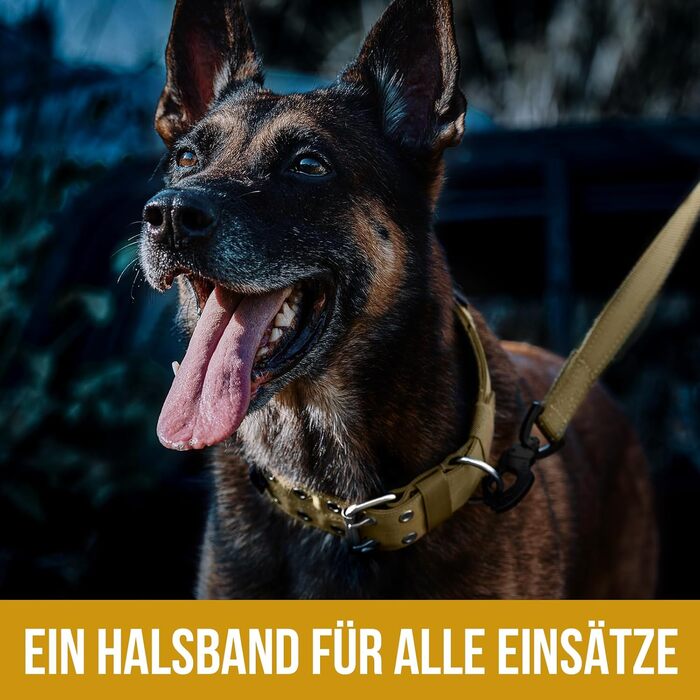 OneTigris Пояс для собак 5 см з ручкою та патчем, великі породи (XL, Коричневий)