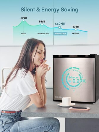 Міні холодильник 46 л з відділенням для льоду, тиха робота 42 дБ, регулювання температури, для кухні, офісу, спальні, готелів та маленьких квартир (колір нержавіюї сталі)