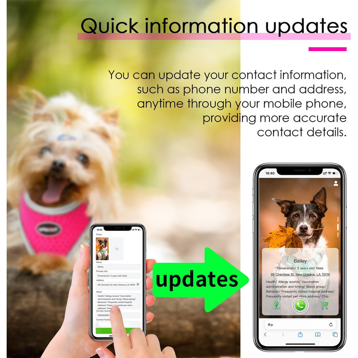 М'який нашийник для собак та котів ThinkPet з QR-кодом, світловідбиваючий, дихаючий, без застібок, блакитно-зелений (L, Рожевий)