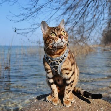 Черевики для хайкінгу Croci Reflective Leopard L - 350 г