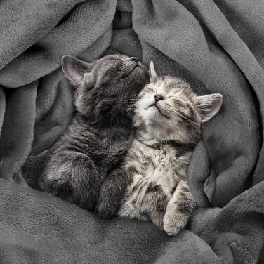 Плед Utopia Bedding: теплий та м'який флісовий плед 200x150 см сірого кольору для ліжка, дивана та крісла