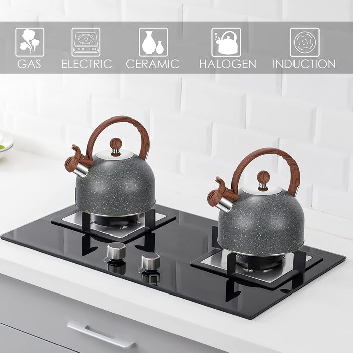 Чайник заварний 2.5L з нержавіючої сталі для всіх плит (індукція), сучасний з дерев'яною ручкою сірого кольору