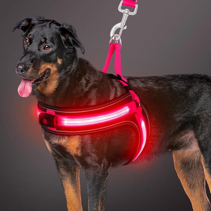 Світловідбиваючий жилет для собак BiPawTi середнього розміру, перезаряджається, жилет для собак зі світлодіодами, 3 режими світіння - світиться в темряві, шлейка для собак, для прогулянок, зелене світло (рожеве/червоне), XL