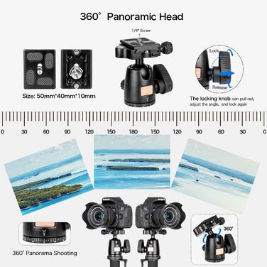 Штатив Koolehaoda з алюмінію з підтримкою та K-09 кульовою головкою для DSLR-камери. Максимальна висота: 175 см. K-288+Kugelkopf