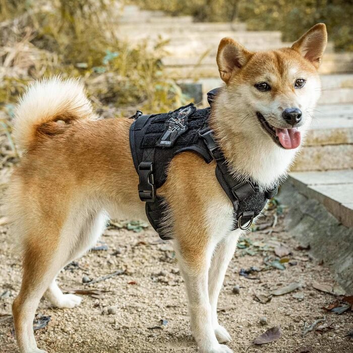 Тактичне обіднє оснащення для собак OneTigris Fire Watcher 2.0 з надійною металевою пряжкою, ручкою та MOLLE-системою, чорне