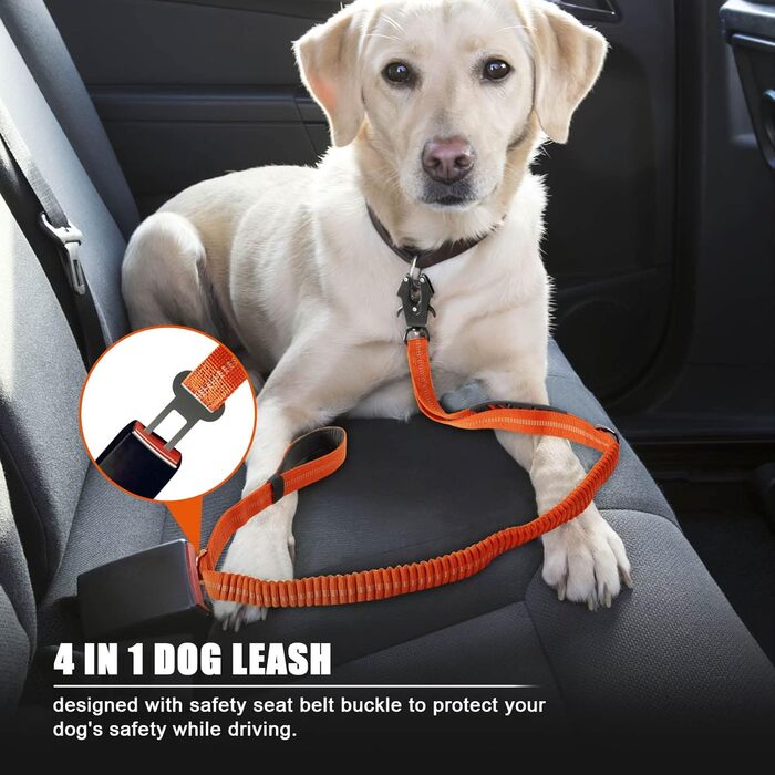 Міцна тактична повід для собак Raiput Bungee, 1.2-1.8 м, проти тяги, з карабіном, світловідбиваючі, амортизуючі, для середніх собак (Orange 2.0, Large)