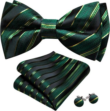 Комплект краватки та хустинки Barry.Wang Paisley, чоловічий, для весілля та урочистих подій (Зелено-чорний)