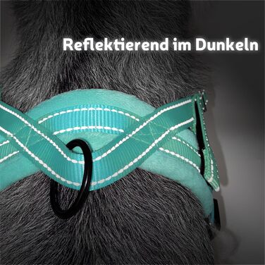 Шлейка для собак SlowTon з повідком, анти-тягнуча, регульована, світловідбиваюча, для цуценят, малих та середніх собак, безпечна, запобігає задушливості, зелена