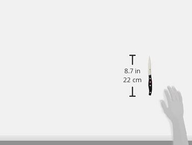 ZWILLING Twin Pollux Spick-/Garniermesser, Blade Length: 10 cm, Small Blade, Stainless Steel/Plastic Handle with Riveted Design, Black
