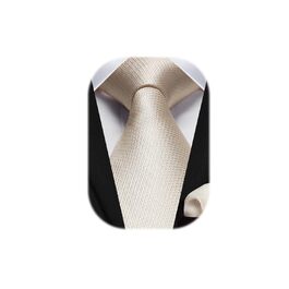 HISDERN Комплект краватки та нагрудного хустинки в клітинку для чоловіків, формальний стиль, класичний, для весілля, бежевий