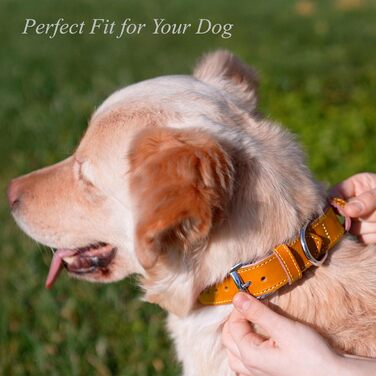 Нашийник для собак з м'якої шкіри, міцний та довговічний. Підходить для собак маленьких, середніх та великих порід. Розмір: 28-36 см (Гірчичний)