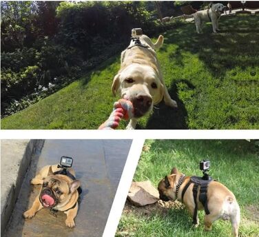 Шлейка для собак з кріпленням GoPro та DJI Osmo, м'яка, регульована, для собак різних розмірів