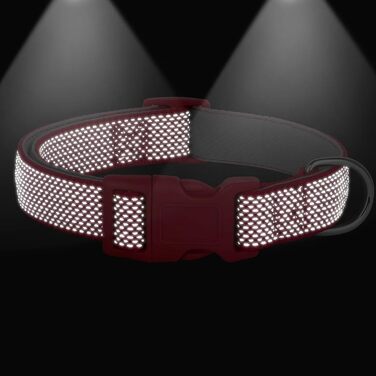 Відбиваючий нашийник для собак Didog з пряжкою, регульований, м'який неопрен, з підкладкою, нейлон, для малих, середніх та великих собак, зелений, L (M: Neck 25-43cm, Червоний)