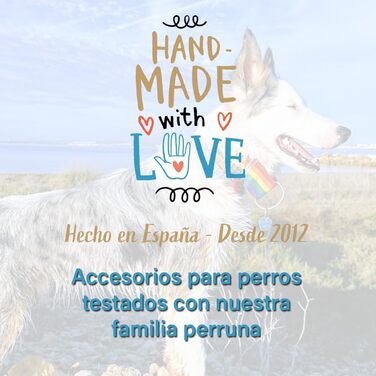 Нашийник для собак Galguita Amelie з принтом черепа, 4 см, розмір M (30-39 см), для собак Мартінгейл