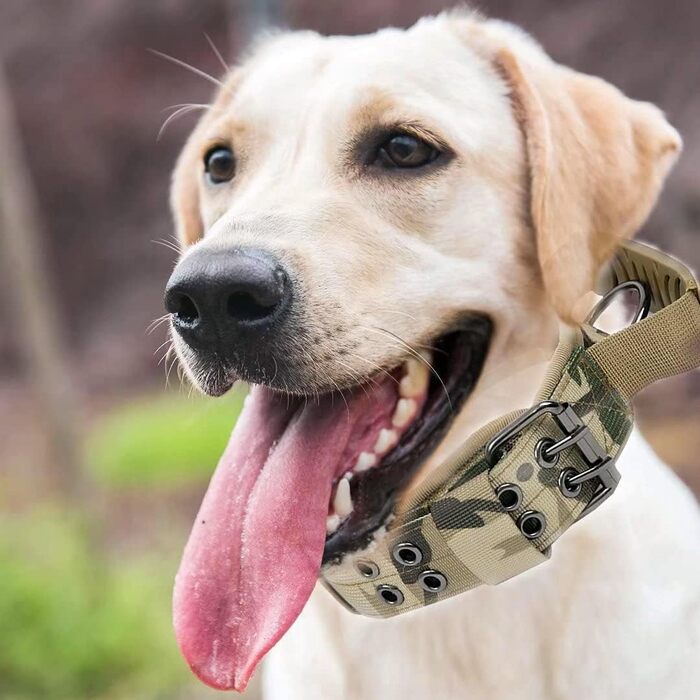 Персоналізоване тактичне нашийник для собак середніх та великих порід, нашийник з іменем та номером телефону (стиль B)