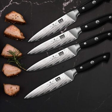Японський кухонний ніж SHAN ZU Damast, 67-шарів, з нержавіючої сталі AUS10, професійний шеф-ніж з ручкою G10, подарункова коробка (набір столових ножів на 4 персони)