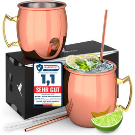 Beyond Moscow Mule Mug 2-Piece Set Copper Mugs - Copper Mugs with Straws & Gift Box I Moscow Mule Copper Cup Set with traditionally smooth surface as a Gin Cup & for Cocktails