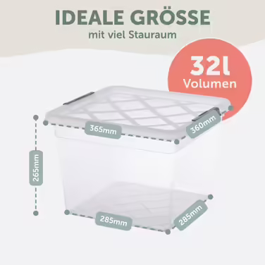 Blumtal Storage Box with Lid 32L Made of Plastic - Storage Boxes 36.5x36x26.5 cm - Storage Boxes Made of 100% New Material with Locking Clips - Storage Boxes with Lid Set of 4