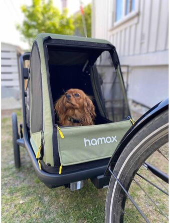 Hamax Puto Hundeanhänger (M, grün) - велосипедний причіп для собак, великий, зелений