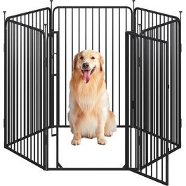 псевдоім'я:: 6тлг