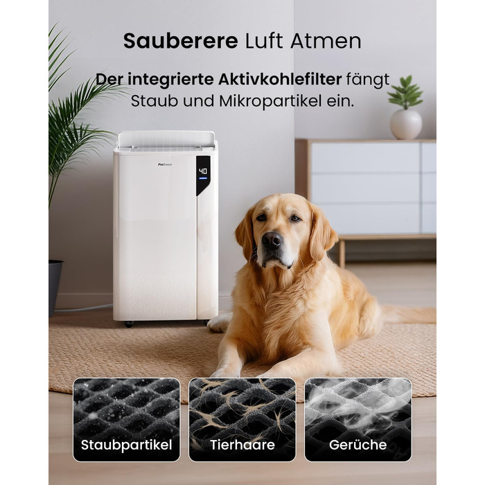 Електричний осушувач повітря ProBreeze 12L - для дому, 20 м², з таймером та датчиком вологості