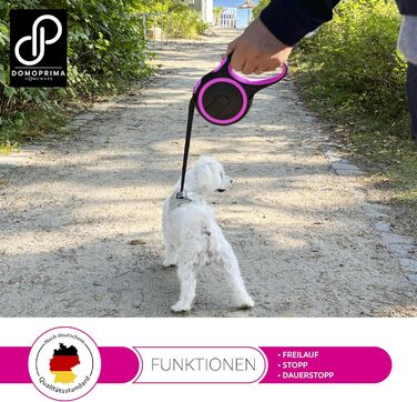 Нашийник для собак DOMOPRIMA: міцний, безпечний, 3 розміри (S, M), 4 кольори (сірий, блакитний, зелений, рожевий)