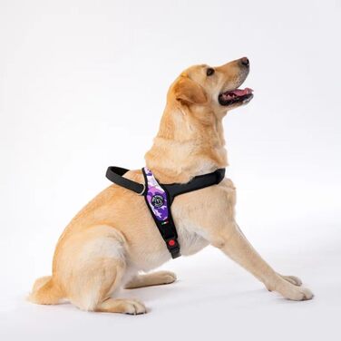 Нашийник для собак Treponti Primo, фіолетовий (M, 10-20 кг)