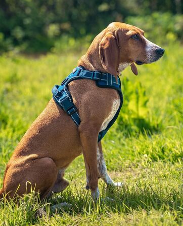 Нашийник для собак Lionto, м'який, нейлон, розмір M, анти-тяга, з 2 кільцями, 4 регульованими ремінцями, 2 застібки-кліпси, гумовий хват на спині, блакитний