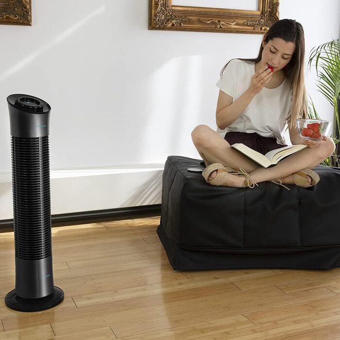 Турбовентилятор Cecotec EnergySilence 9090 Skyline (78 см, сіро-чорний)