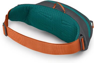 Рюкзак Osprey Europe Unisex об'ємом 2L, колір Tumbleweed Yellow/Tunnel Vision