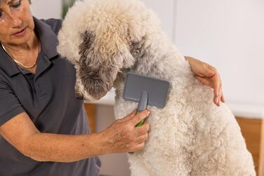 Видалення ворсу Wahl Große Zupfbürste - професійна щітка для грумінгу собак та котів з гелевою ручкою (зелена)