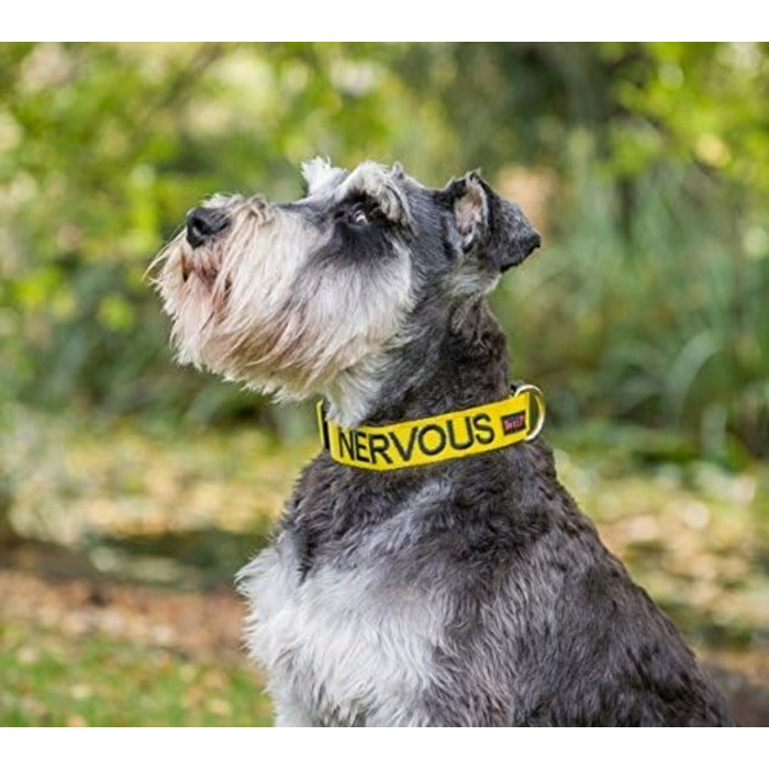 Нашийник для собак Nervous (Give Me Space), жовтий, кодований кольором, S-M, L-XL, запобігає нещасним випадкам, попереджаючи інших собак (L-XL)