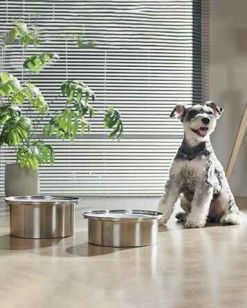 Нержавійна миска для собак з захистом від протікання, 2L, преміум якість, для собак та котів, миска для води без обливання, великий об'єм, 4 фільтри