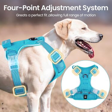 Світлодіодне шлейка для собак з підсвічуванням LED, перезаряджувана - шлейка з LED для собак маленьких, середніх та великих порід, світловідбиваюча, регульована, XL (Блакитний, Large)