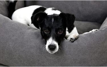 Ківш для домашніх тварин Kerbl Lucca сірий, (70x85 см), м'яке ліжко