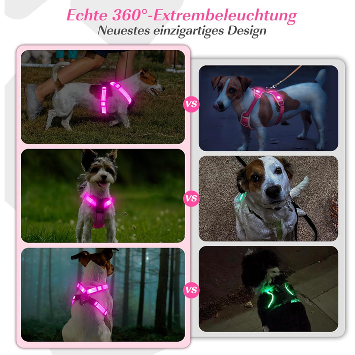 Світловідбиваючий нашийник для собак PZRLit з підзарядкою, для маленьких собак, XS, LED, для безпечних прогулянок вночі - Рожевий