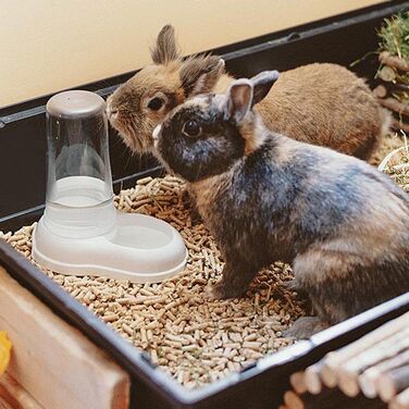 Автоматичний диспенсер для корму та води Ferplast AZIMUT 5500 для великих собак, 5,5 л, білий, з антиковзким дном