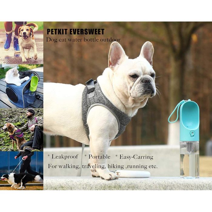 PETKIT Reiseflasche EVERSWEET Travel: пляшка для води для собак, 400 мл, зелений колір