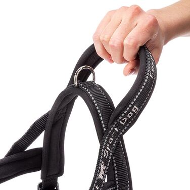 Нашийник для собак Ferplast Sport Dog, середнього розміру, сірий, з практичним застежкою, м'якою підкладкою та світловідбиваючими швами, S (48 см)