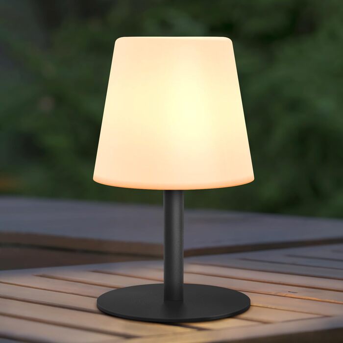 Акумуляторний LED настільний світильник Malux з димером, теплий/холодний білий (3000K/7500K), водонепроникний IP44 для дому та саду