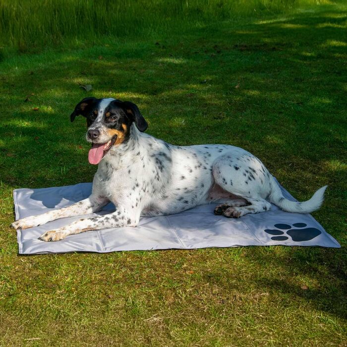 Kühlmatte für Hunde von dobar® - selbstkühlende Liegematte für Hunde und Katzen - 99,5 x 70 cm - Grau