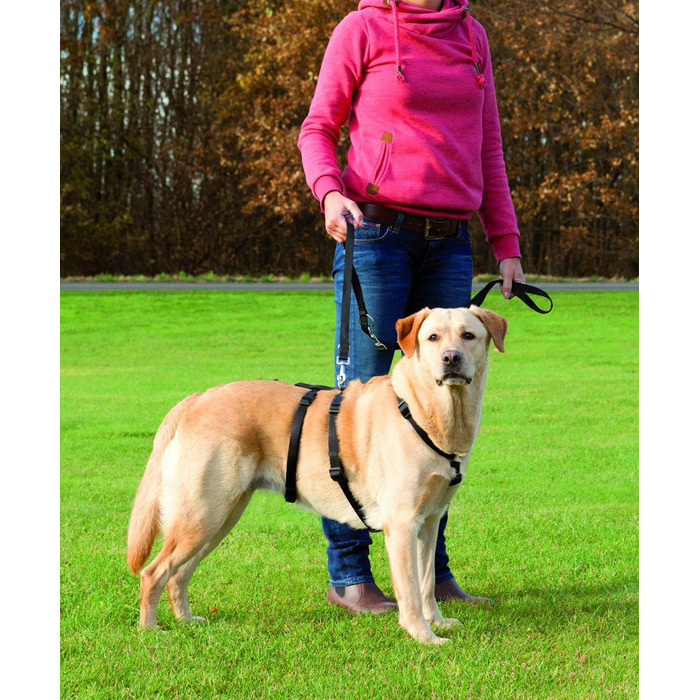 Миска для собак TRIXIE Stay, розмір M/L, 50-75 см, 20 мм (Чорний)