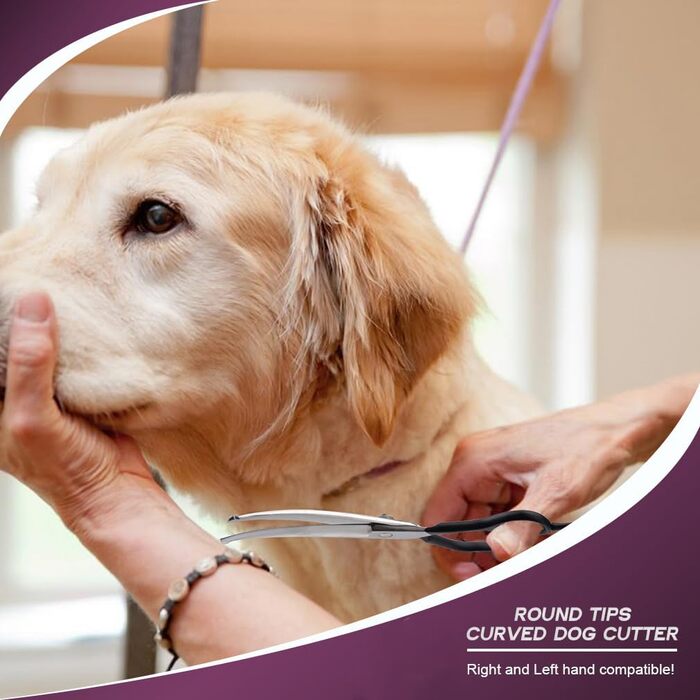 Ножиці для собак Dream Reach 6,5 дюйма, професійні, з нержавіючої сталі 440C, вигнуті, у подарунковій коробці