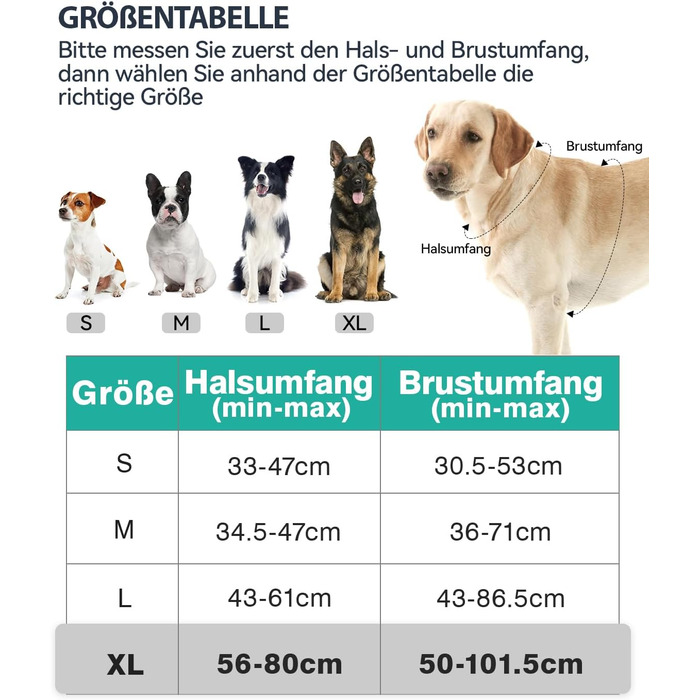 Нашийник для собак Joytale середнього розміру, світловідбиваючий, дихаючий, регульований з ручкою для тренувань, M (XL, 1 шт), блакитний