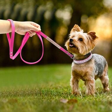 Soft Suede Dog Collar, Shimmering, Sparkling, Elegant, Unique, Embellished with Rhinestones, for Pets, Puppies, Cats, Dogs, Combo Set with Leash (XXS, Black)