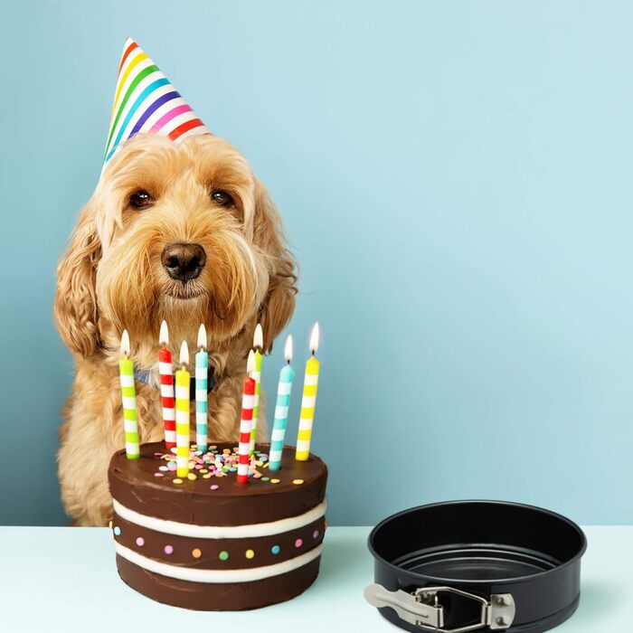 Форми для випічки Relaxdays, набір 5 шт, Ø 12 см, круглі, антипригарні, до 220 °C, міні-форми для кексів, чорні