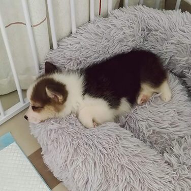 Кругле м'яке ліжко для собак та котів Haoye, Ø 50 см, сірий колір