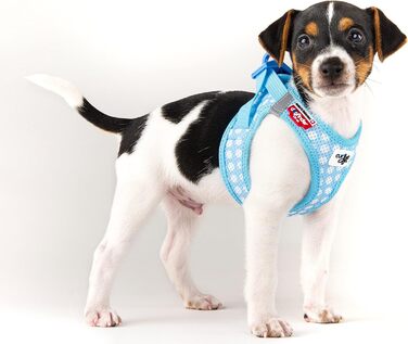 Шлейка для собак curli Clasp Air-Mesh M, блакитний колір з кругами, 3XS